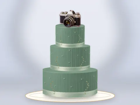 Preview the Through the Lens · Sage Silk full cake