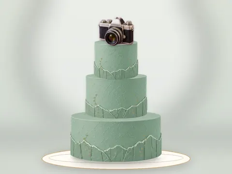 Preview the Mountain Photography · Sage Silk full cake